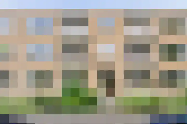 Helperzoom 173 Groningen thumbnail 42