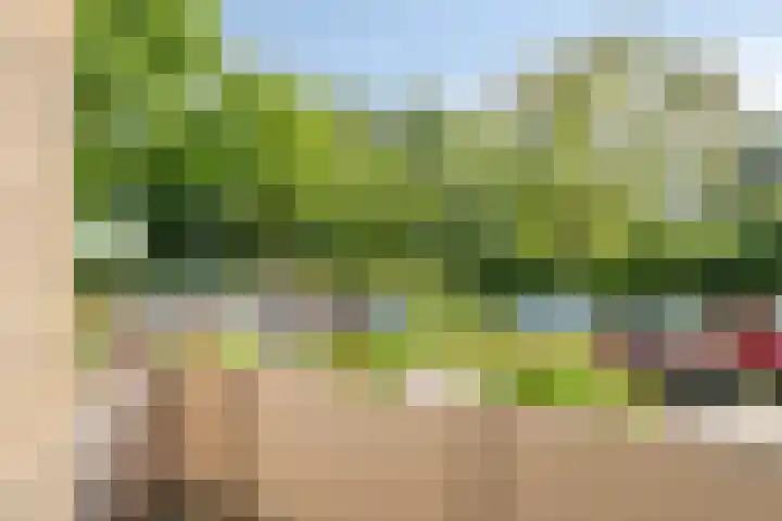 Helperzoom 173 Groningen thumbnail 5