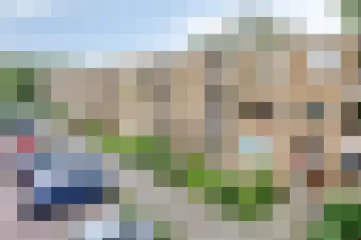 Helperzoom 173 Groningen thumbnail 6