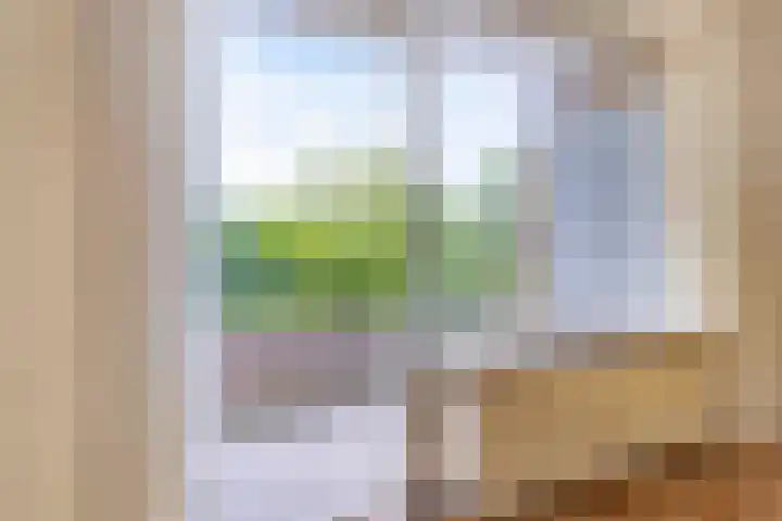 Helperzoom 183 Groningen thumbnail 16