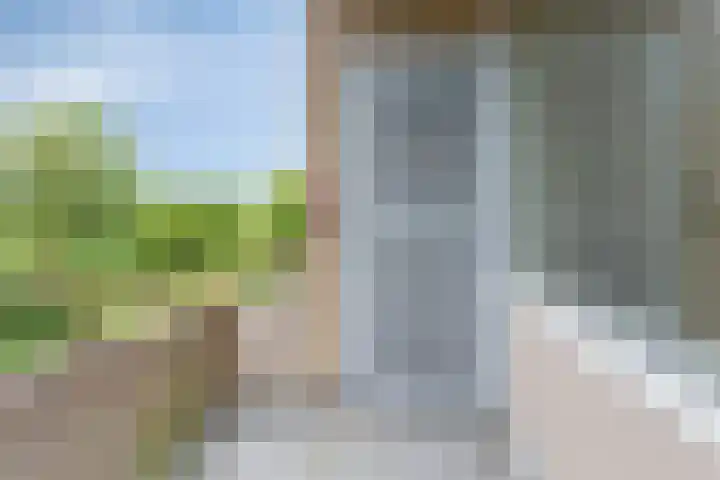 Helperzoom 183 Groningen thumbnail 17