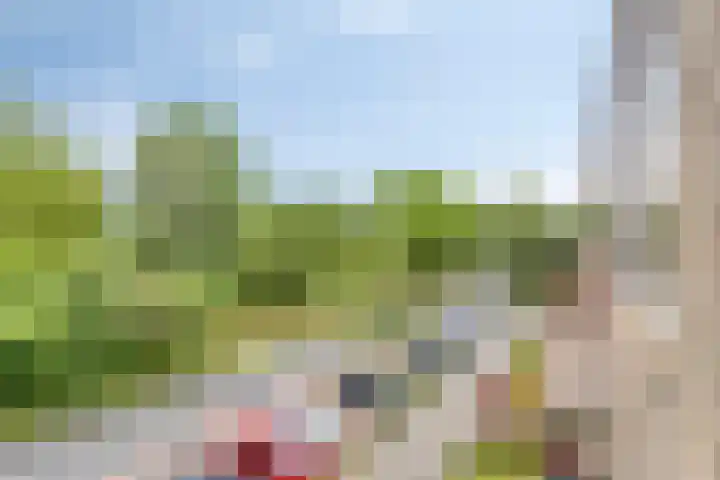Helperzoom 183 Groningen thumbnail 18