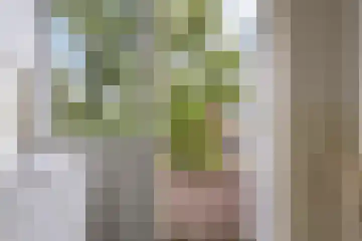 Helperzoom 183 Groningen thumbnail 22