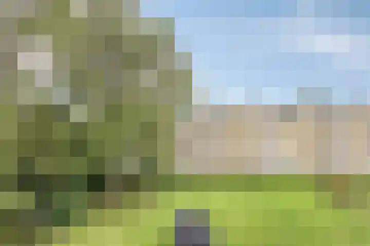 Helperzoom 183 Groningen thumbnail 23