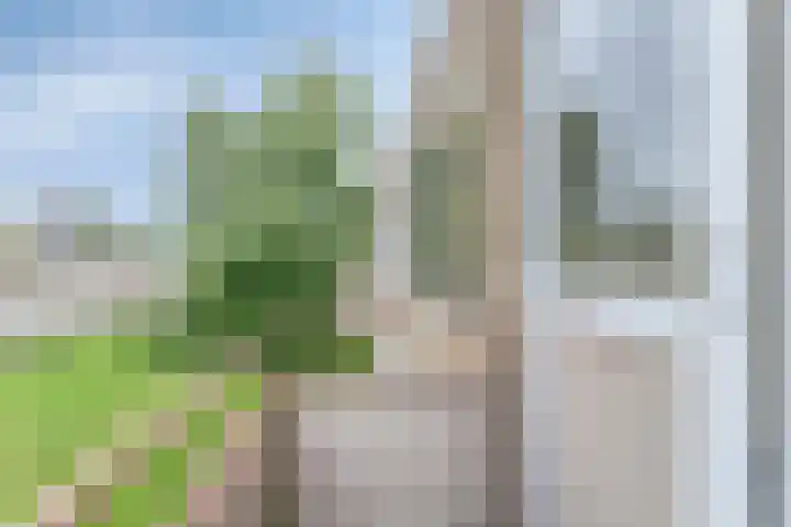 Helperzoom 183 Groningen thumbnail 24
