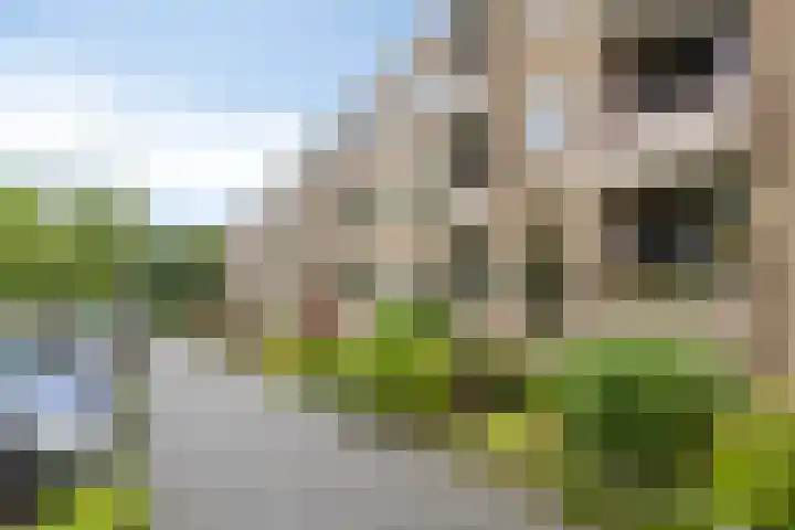 Helperzoom 183 Groningen thumbnail 30