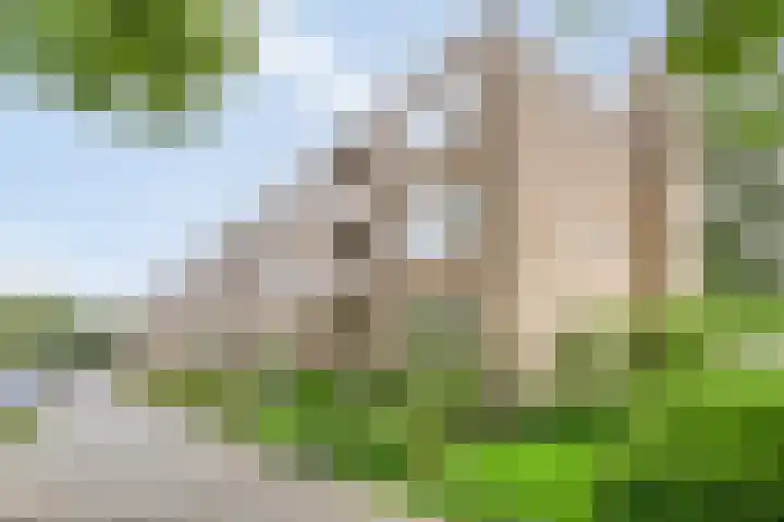 Helperzoom 183 Groningen thumbnail 31
