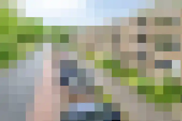 Helperzoom 183 Groningen thumbnail 32