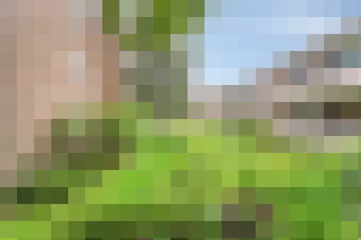 Helperzoom 183 Groningen thumbnail 34