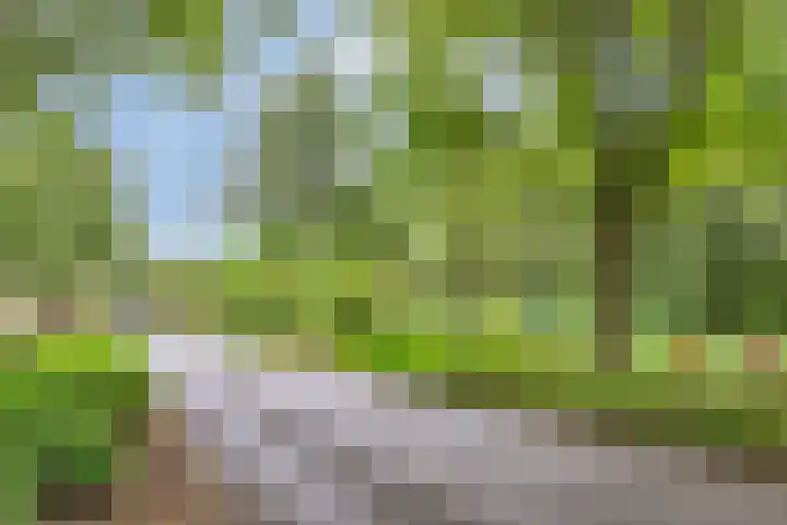 Helperzoom 183 Groningen thumbnail 35