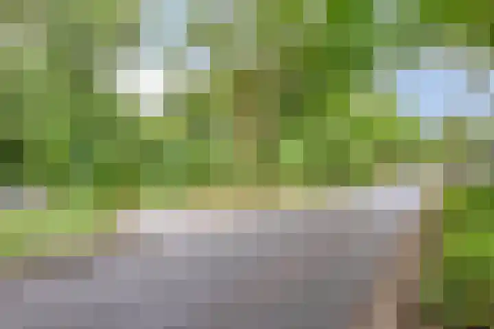 Helperzoom 183 Groningen thumbnail 36