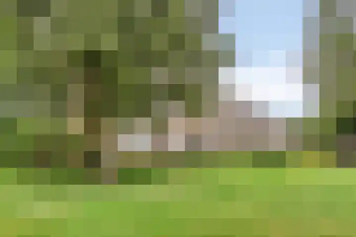 Helperzoom 183 Groningen thumbnail 37