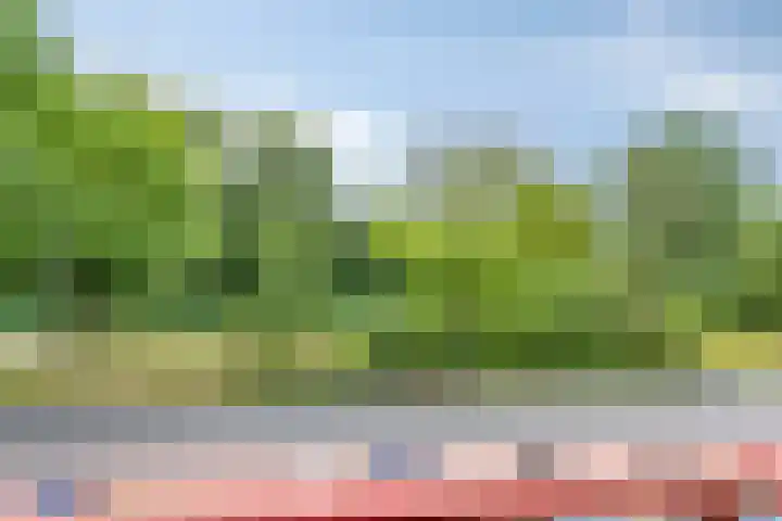 Helperzoom 183 Groningen thumbnail 4