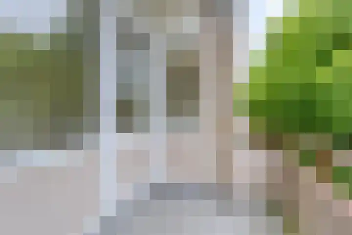 Helperzoom 183 Groningen thumbnail 5