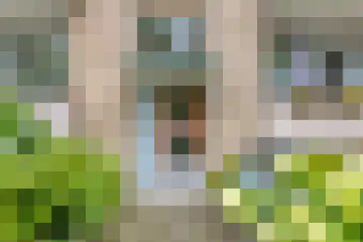 Helperzoom 183 Groningen thumbnail 7