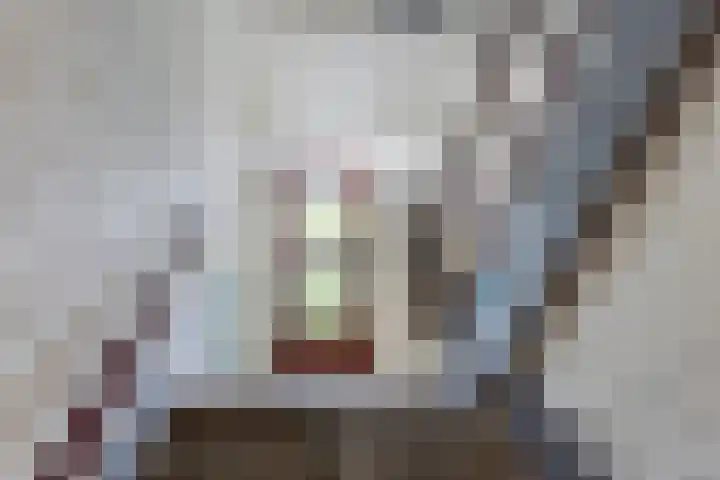 Helperzoom 183 Groningen thumbnail 8