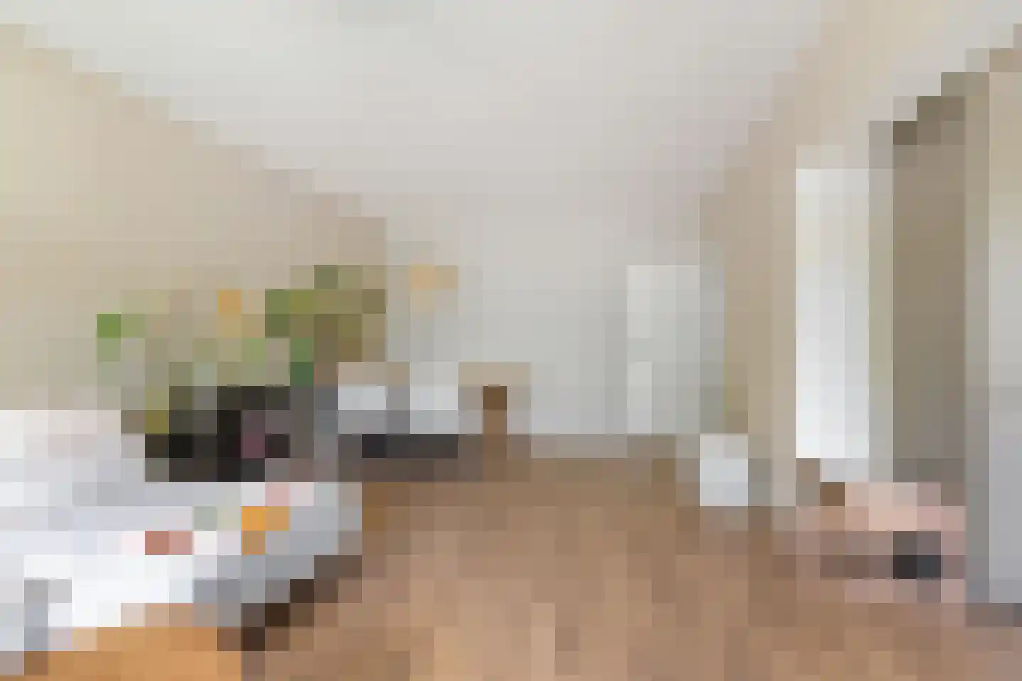 Helperzoom 185 Groningen thumbnail 15