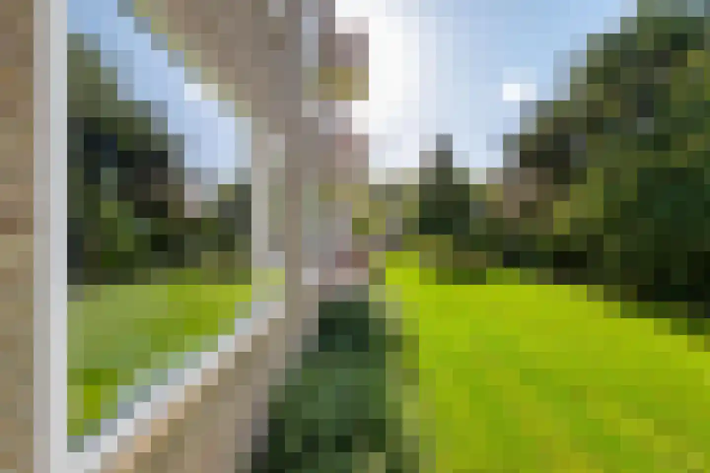 Helperzoom 185 Groningen thumbnail 34