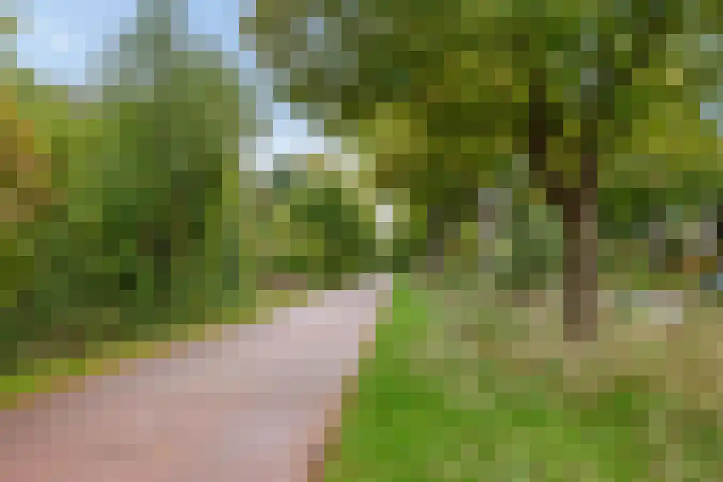 Helperzoom 185 Groningen thumbnail 7