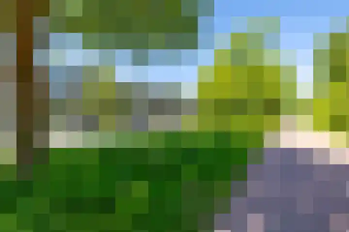 Helperzoom 191 Groningen