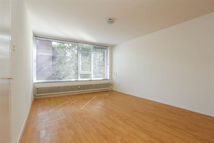 Helperzoom 287 in Groningen photo