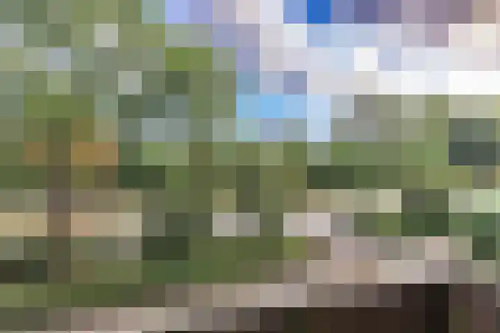 Helperzoom 31 Groningen thumbnail 17