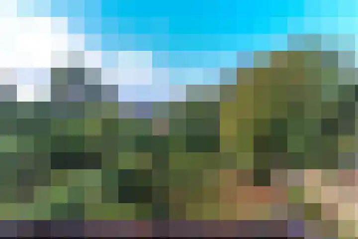 Helperzoom 31 Groningen thumbnail 24