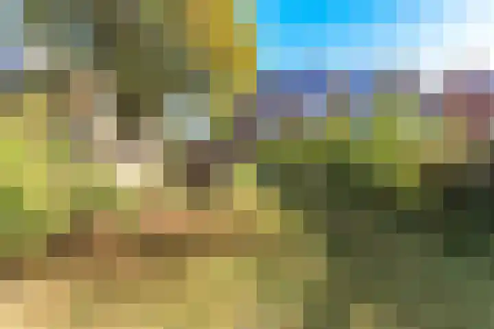 Helperzoom 31 Groningen thumbnail 5