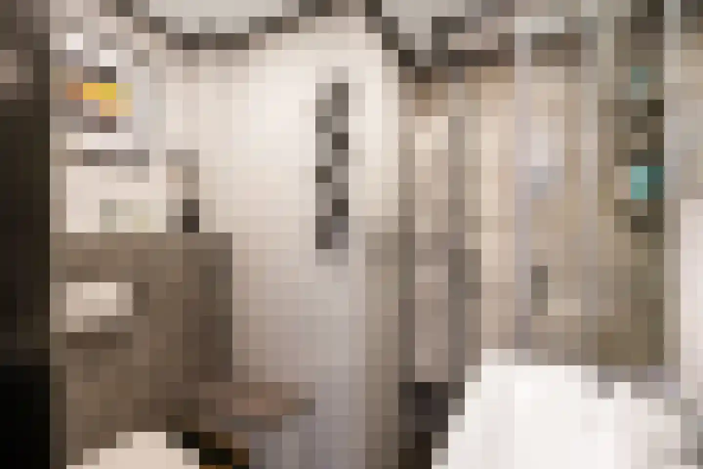 Helperzoom 369 Groningen thumbnail 33