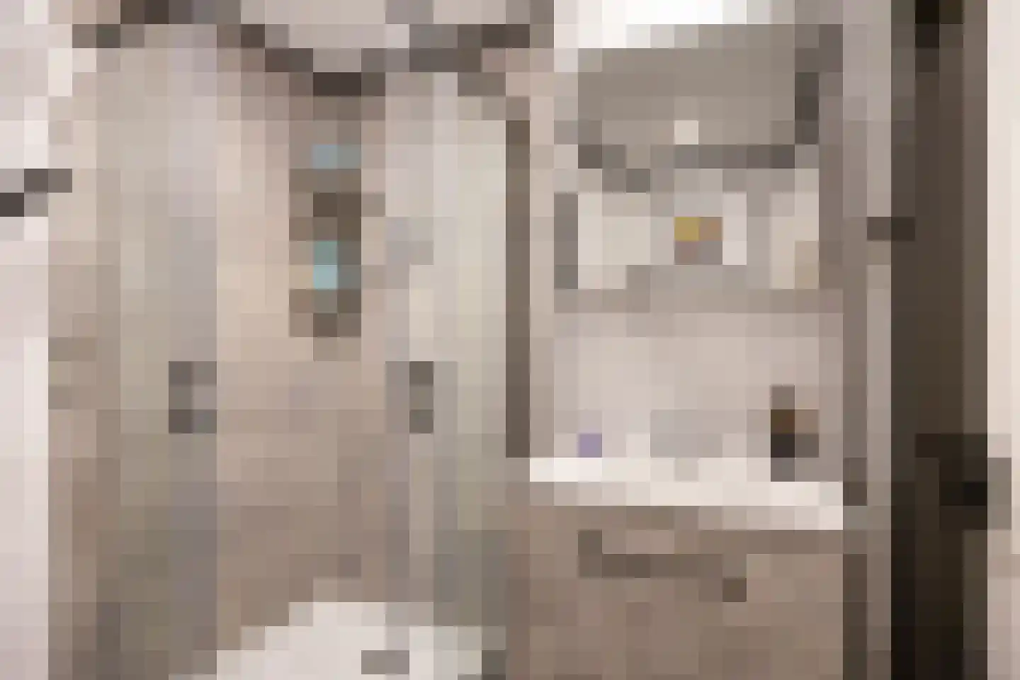 Helperzoom 369 Groningen thumbnail 34