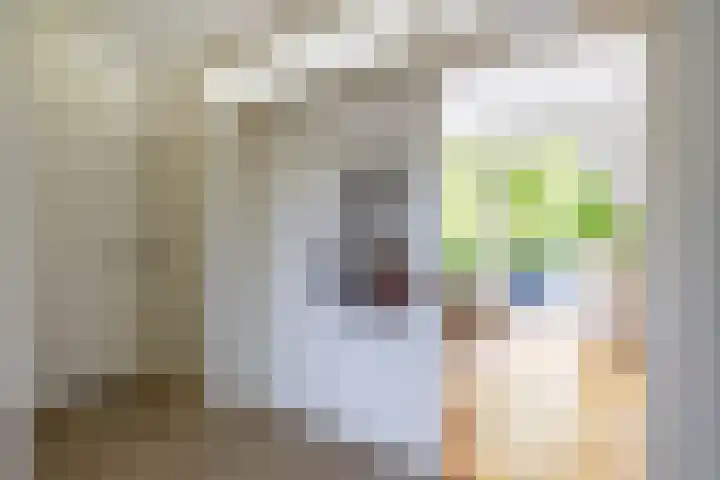 Helperzoom 371 Groningen thumbnail 14