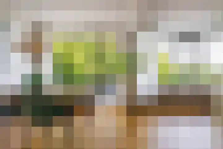 Helperzoom 371 Groningen thumbnail 15