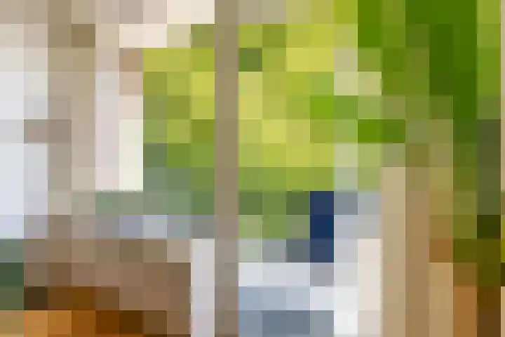 Helperzoom 371 Groningen thumbnail 24