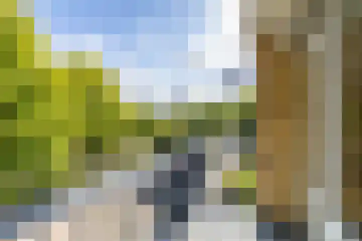 Helperzoom 371 Groningen thumbnail 26