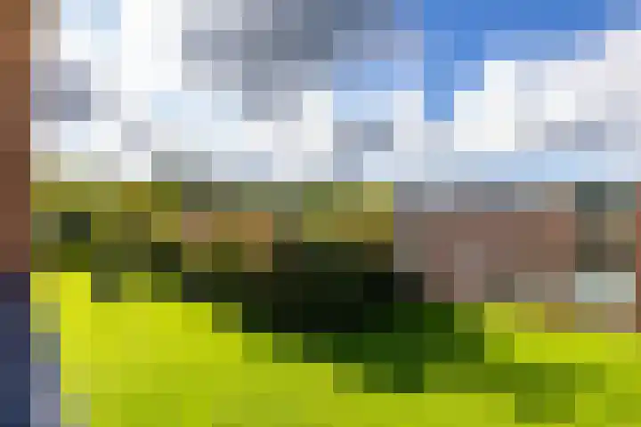 Helperzoom 371 Groningen thumbnail 49