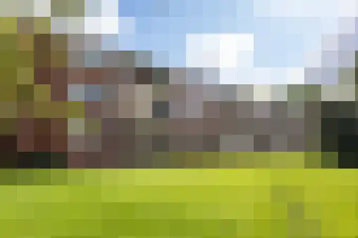 Helperzoom 371 Groningen thumbnail 8