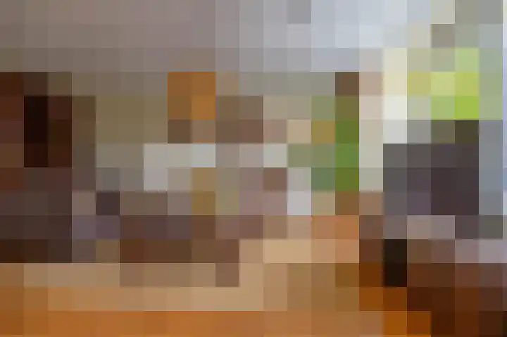 Helperzoom 379 Groningen
