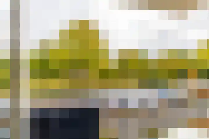 Helperzoom 379 Groningen thumbnail 13