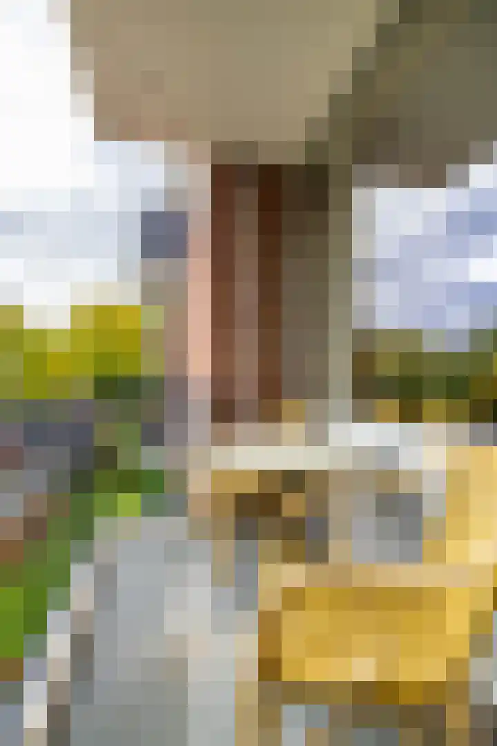 Helperzoom 379 Groningen thumbnail 14