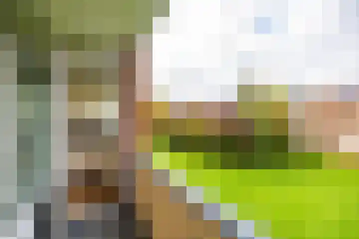 Helperzoom 379 Groningen thumbnail 20