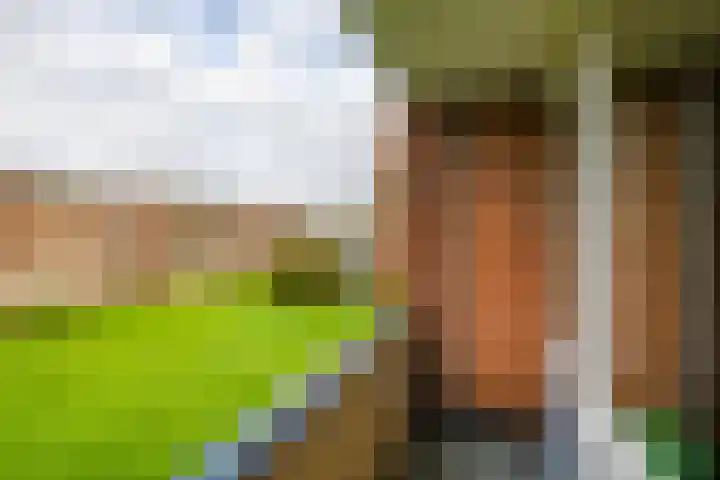 Helperzoom 379 Groningen thumbnail 21