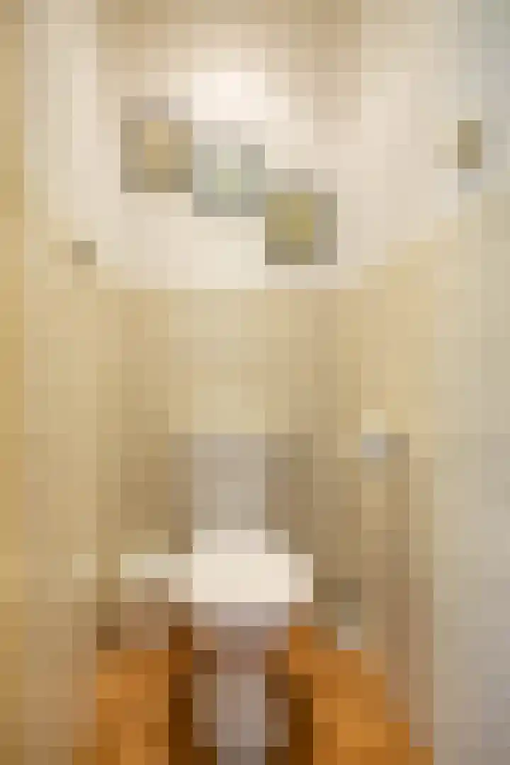 Helperzoom 379 Groningen thumbnail 24