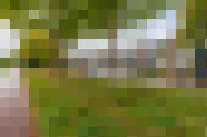 Helperzoom 379 Groningen thumbnail 32