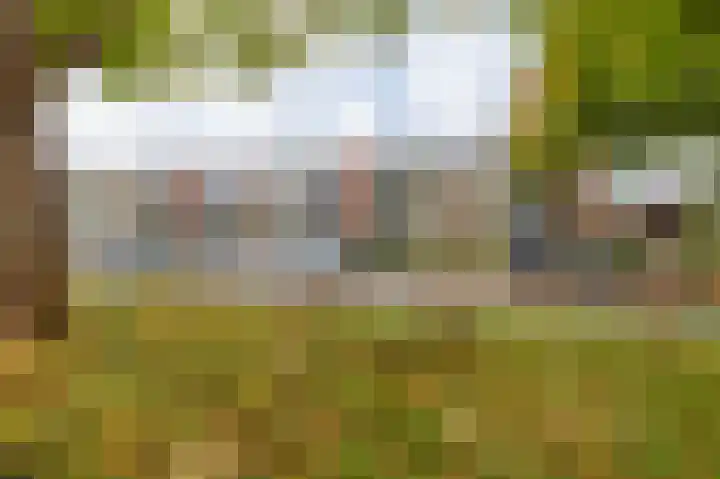 Helperzoom 379 Groningen thumbnail 4