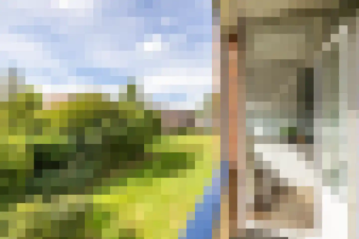 Helperzoom 389 Groningen thumbnail 22