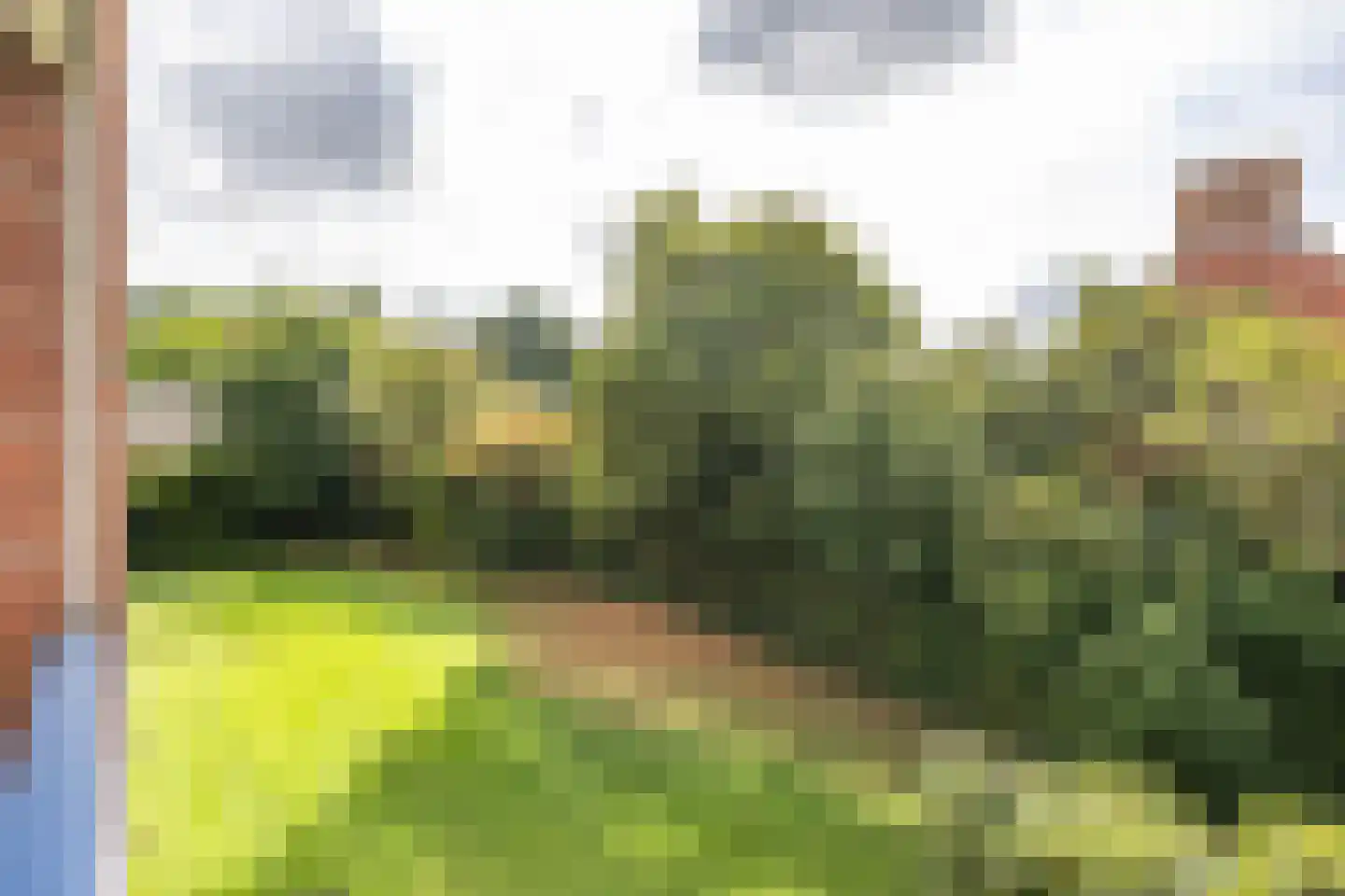 Helperzoom 389 Groningen thumbnail 23