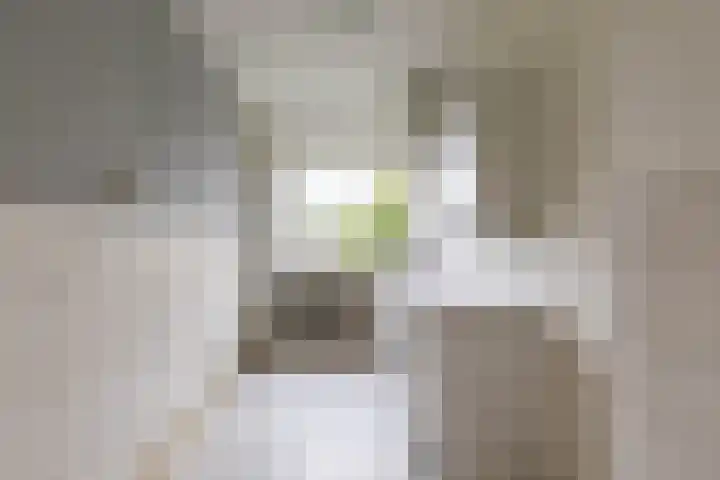 Helperzoom 405 Groningen thumbnail 22