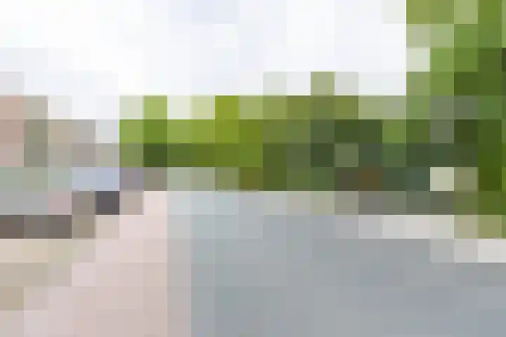 Helperzoom 405 Groningen thumbnail 4