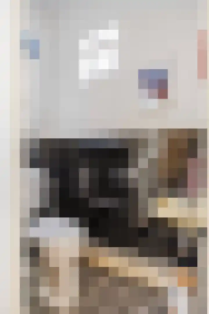 Helperzoom 53 Groningen thumbnail 10