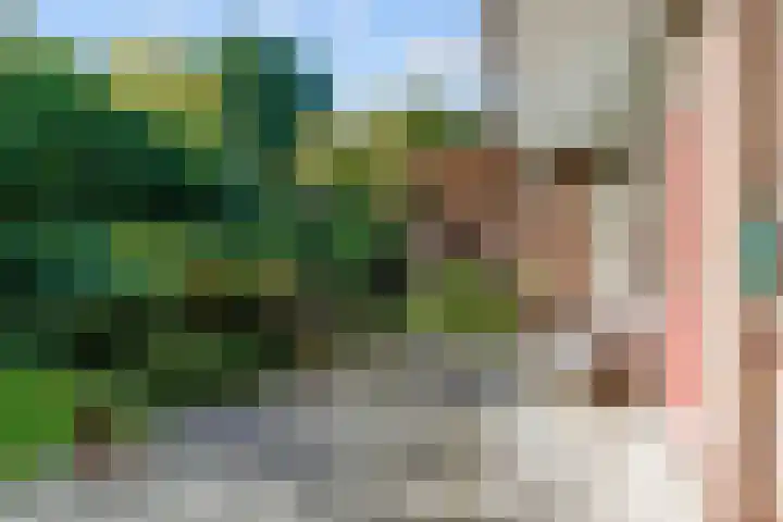 Helperzoom 53 Groningen thumbnail 30
